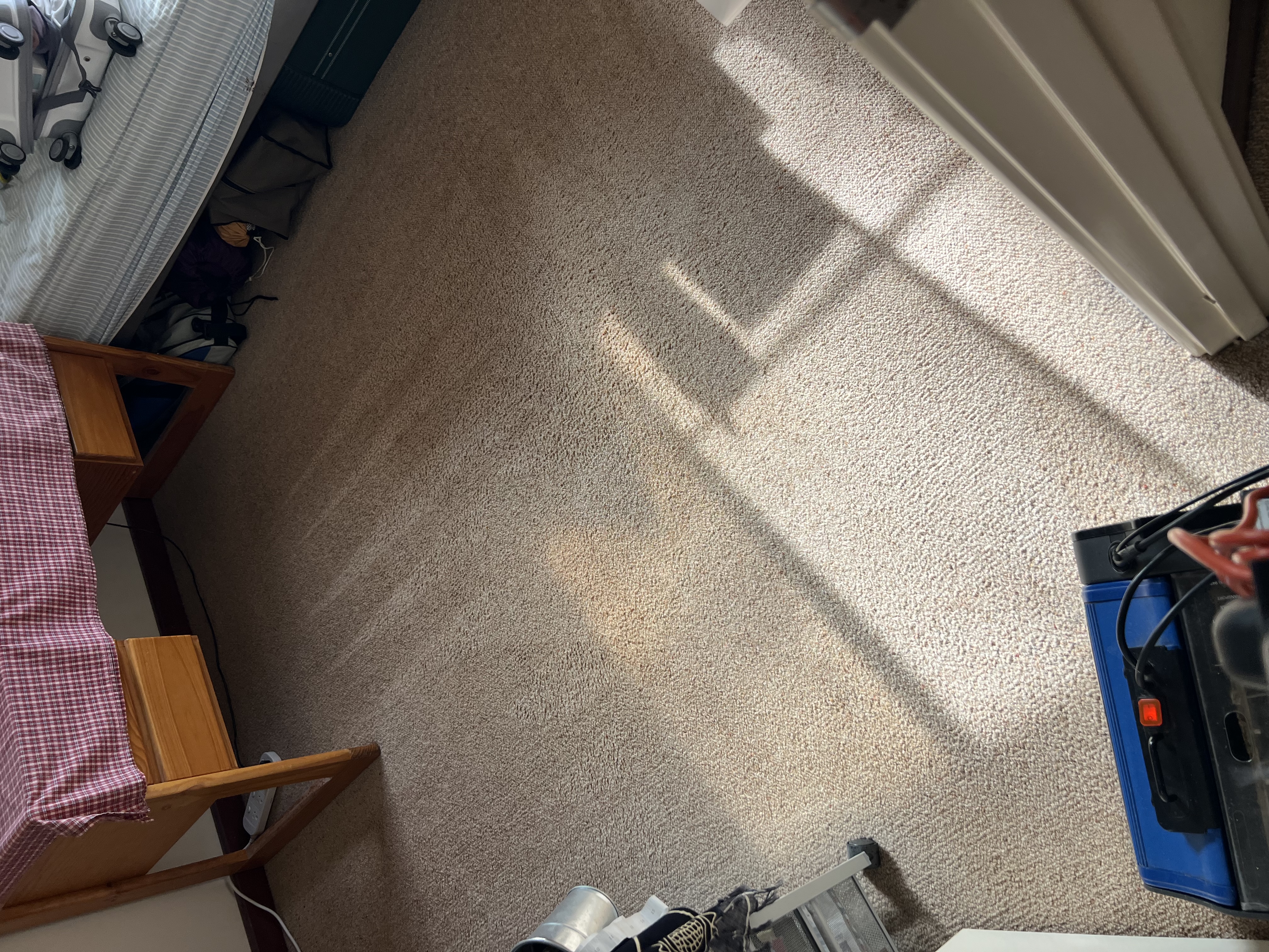 Carpet after cleaning