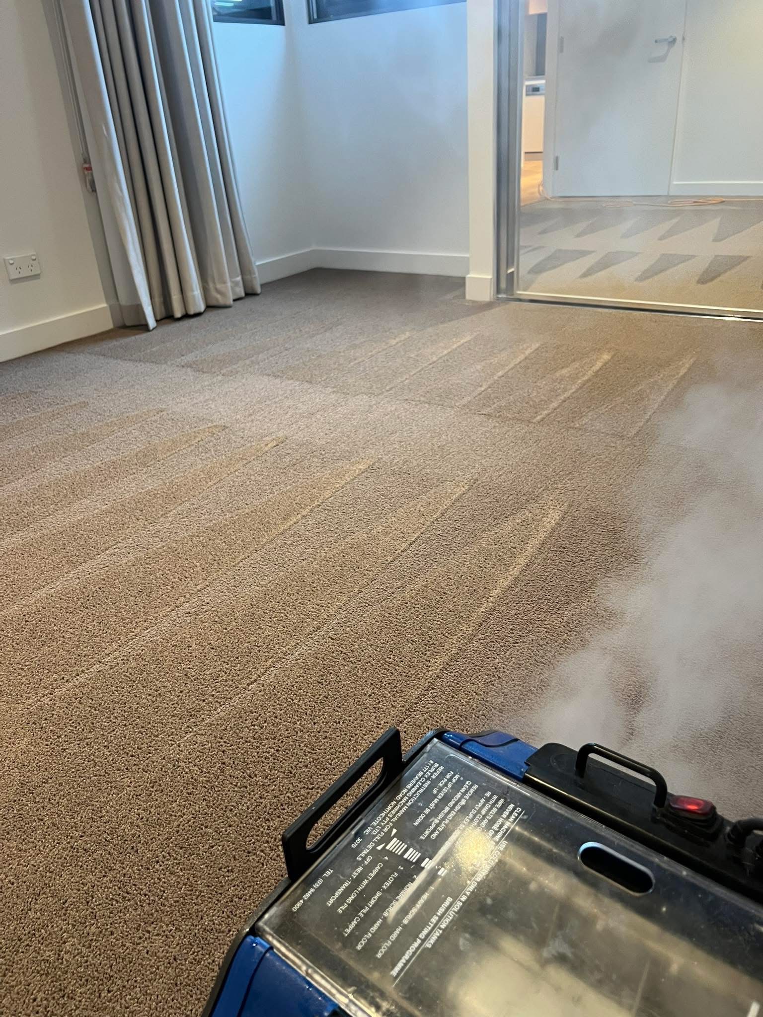 Professionally cleaned carpet