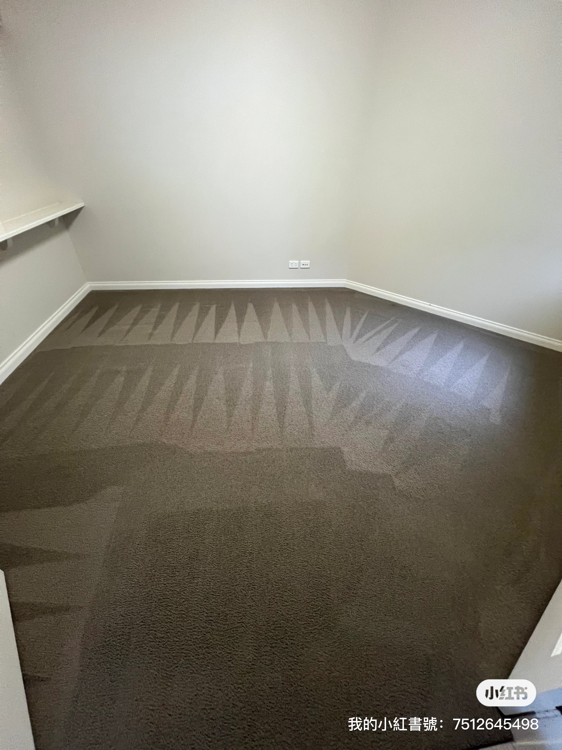 Carpet after cleaning