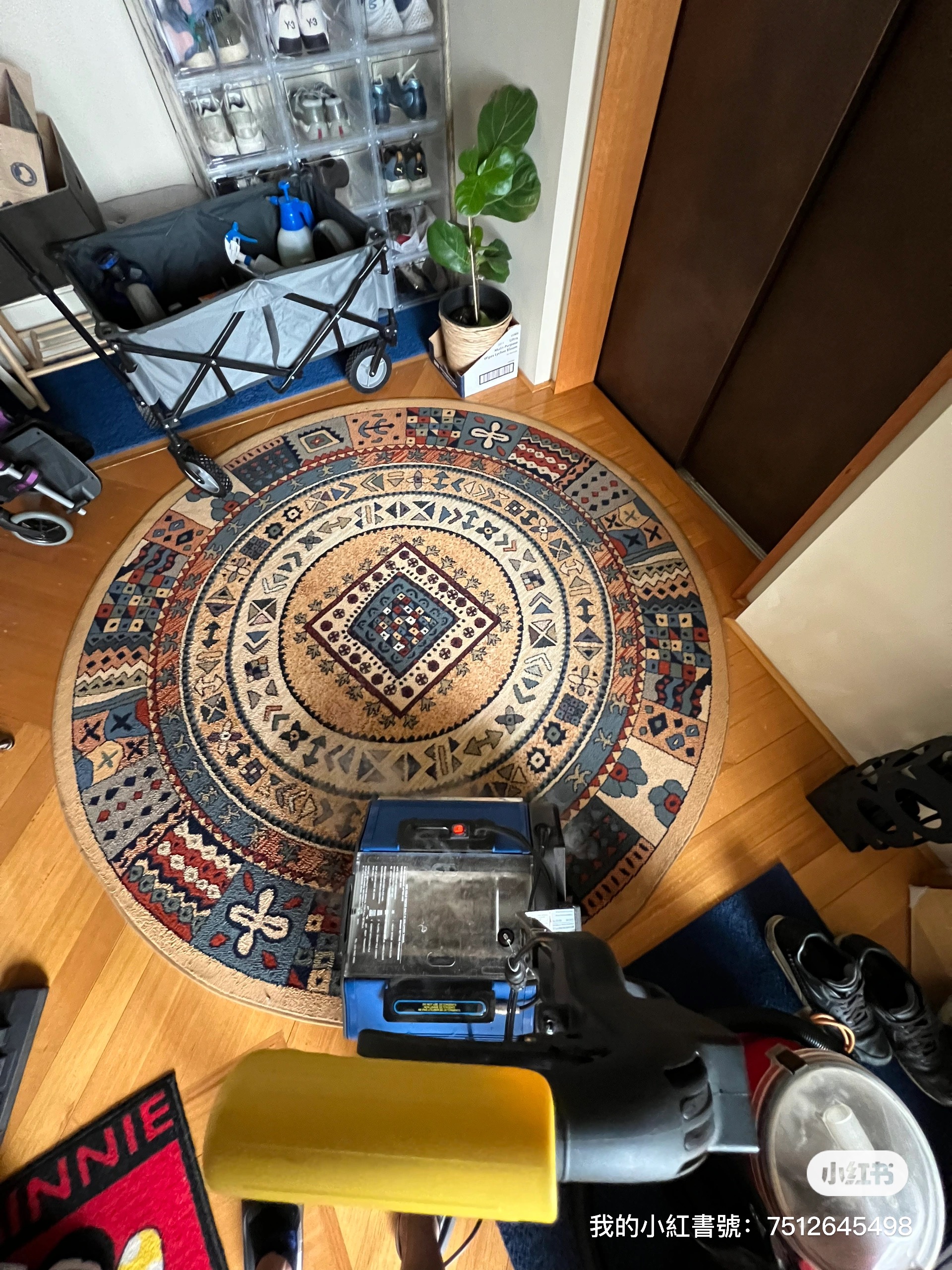 Rug cleaning