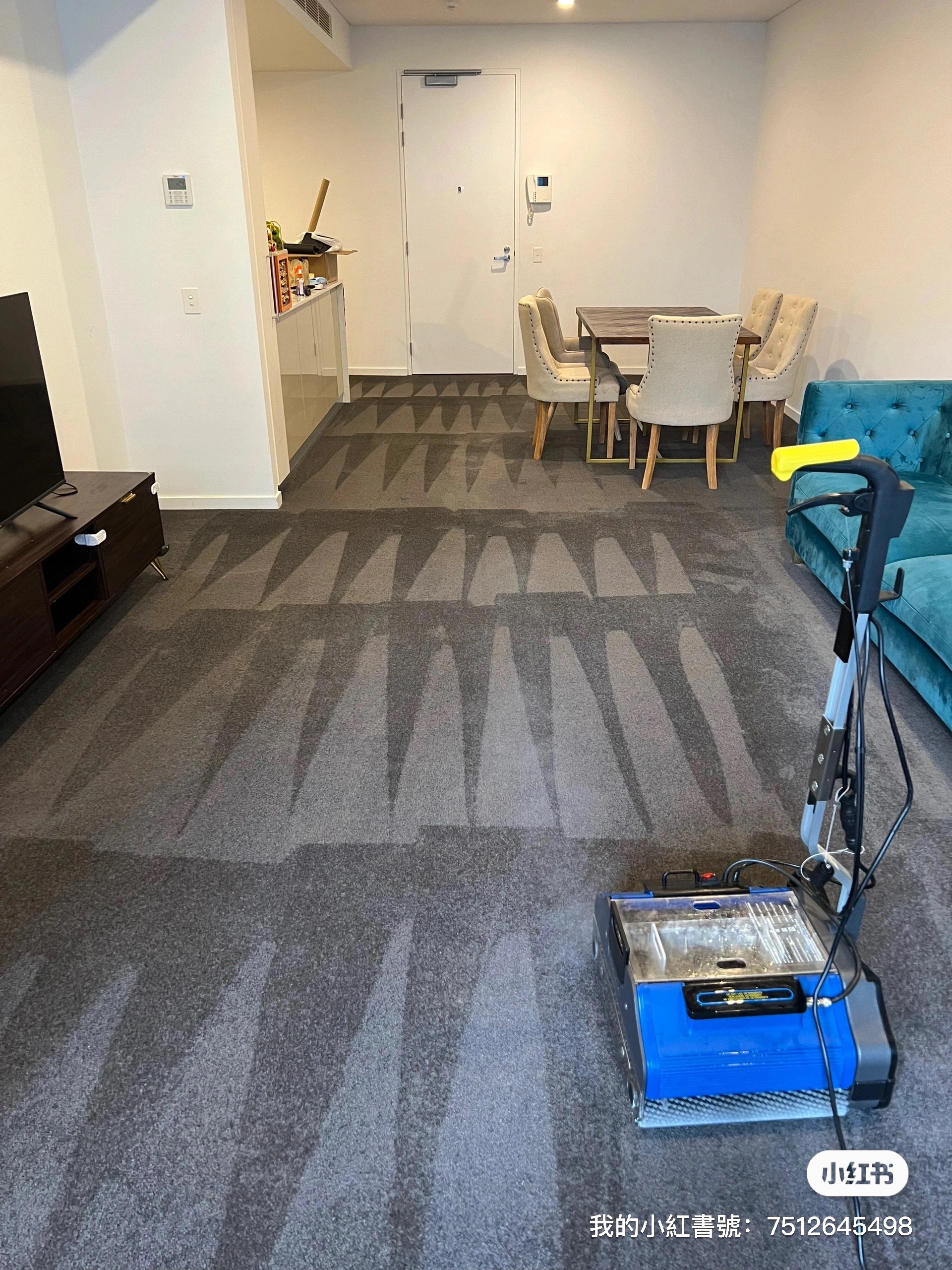 Carpet cleaning in progress