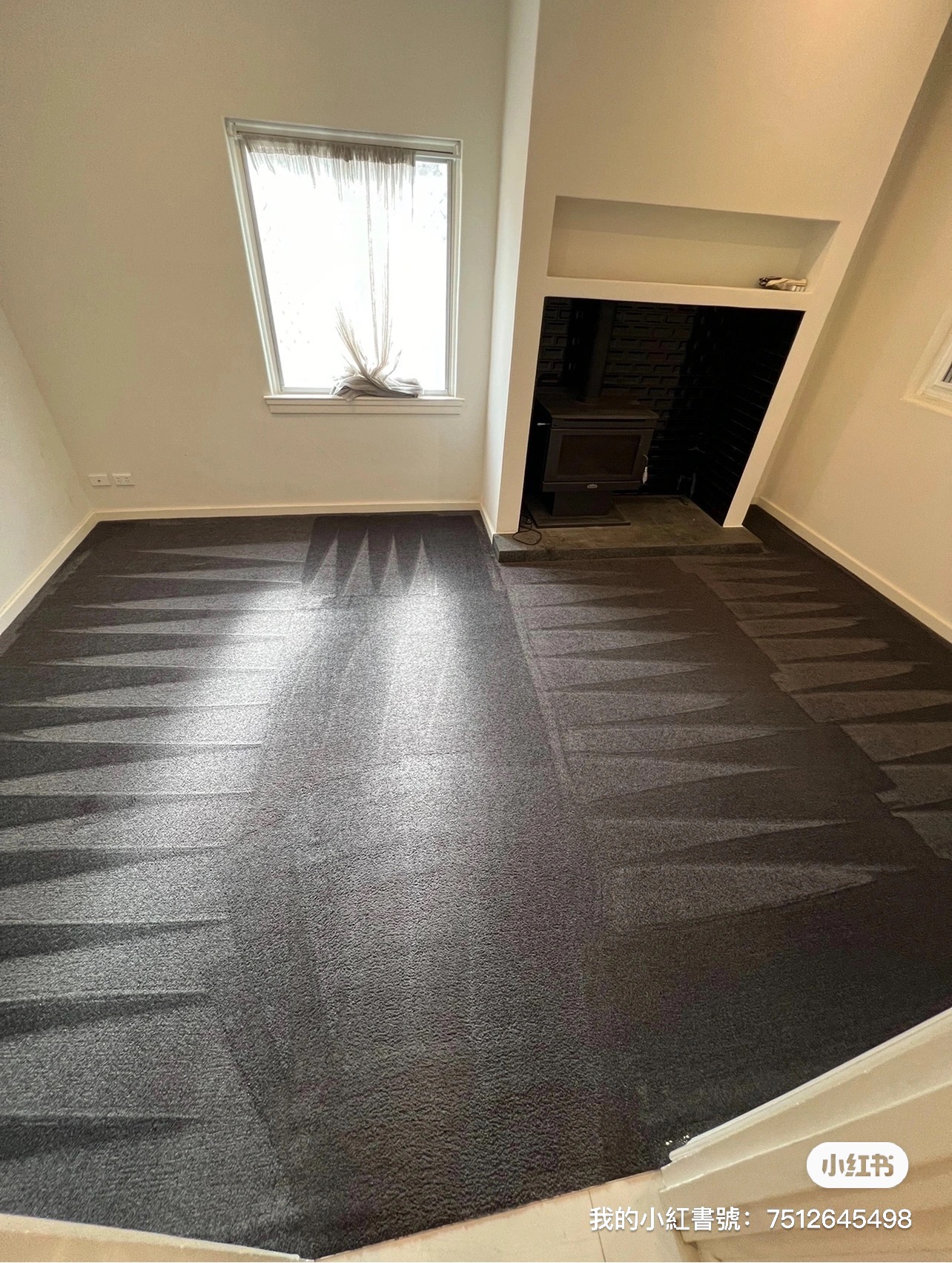 Carpet cleaning in progress