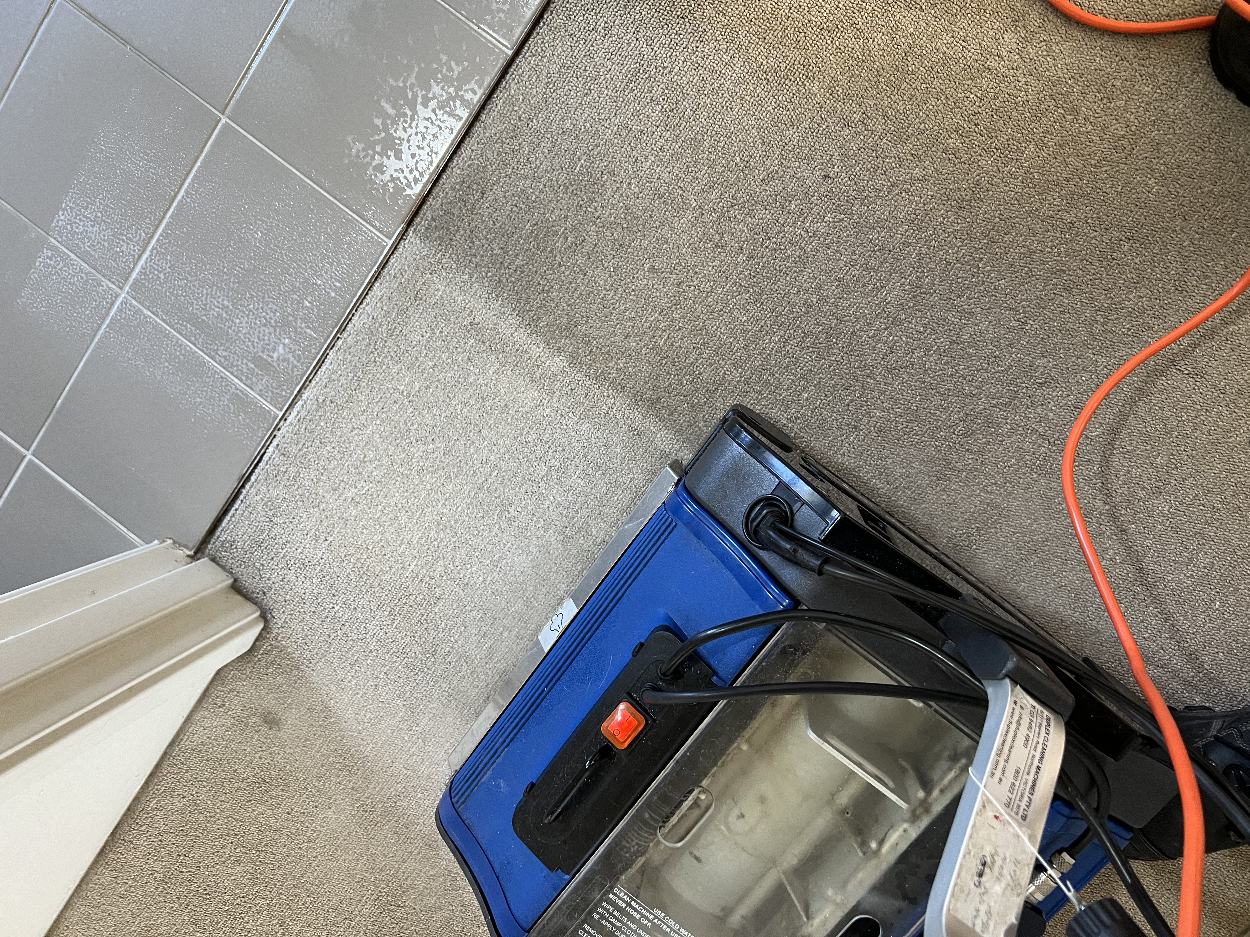 Carpet cleaning in progress