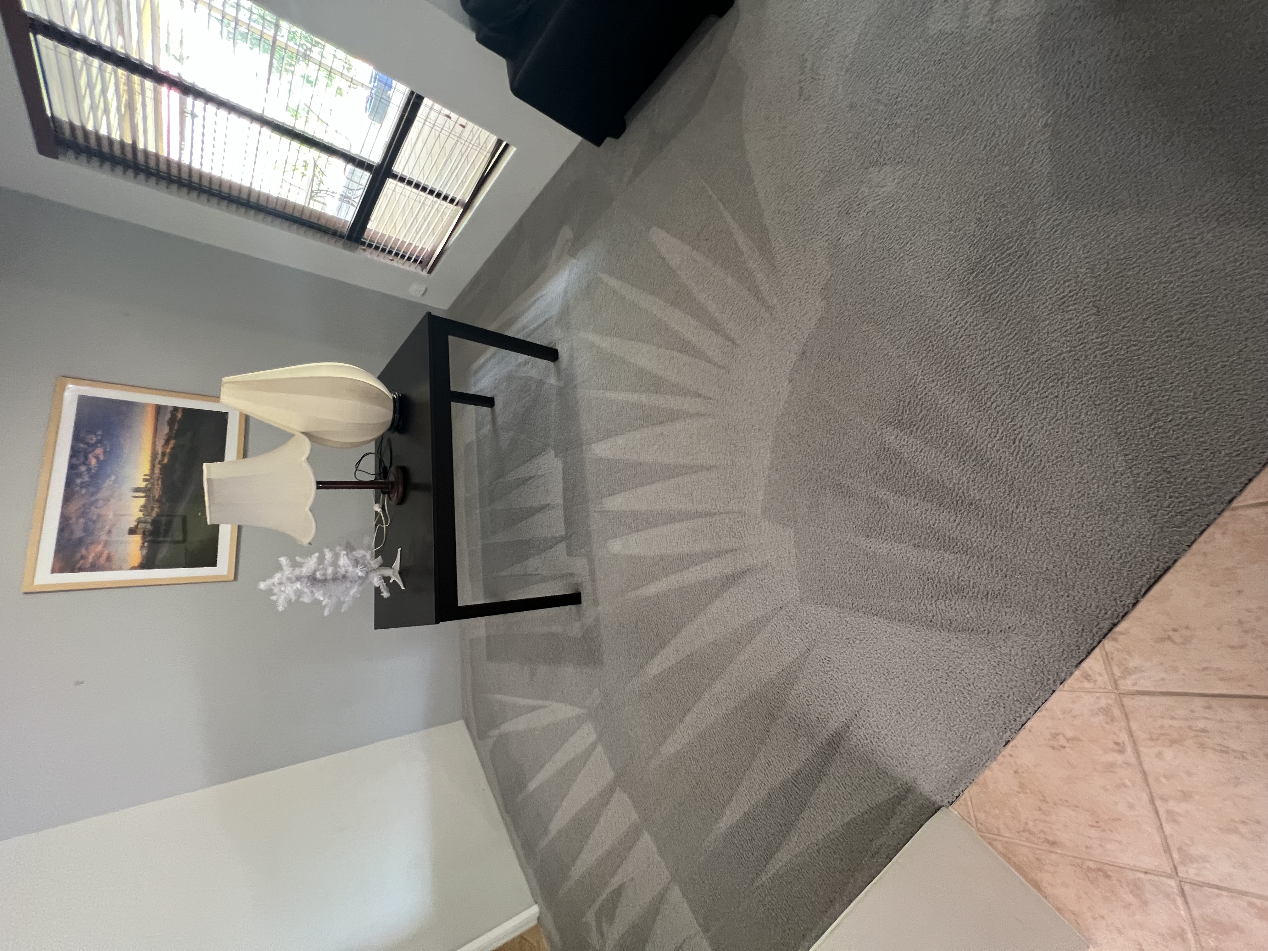 Carpet cleaned result